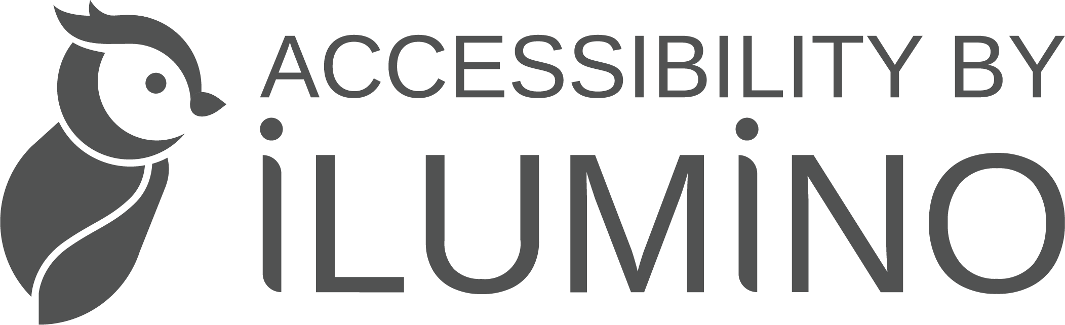 Accessibility by Ilumino.co